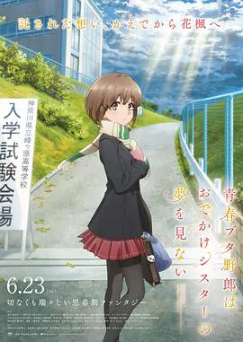 【动漫电影】青春期猪头少年不会梦到娇怜外出妹