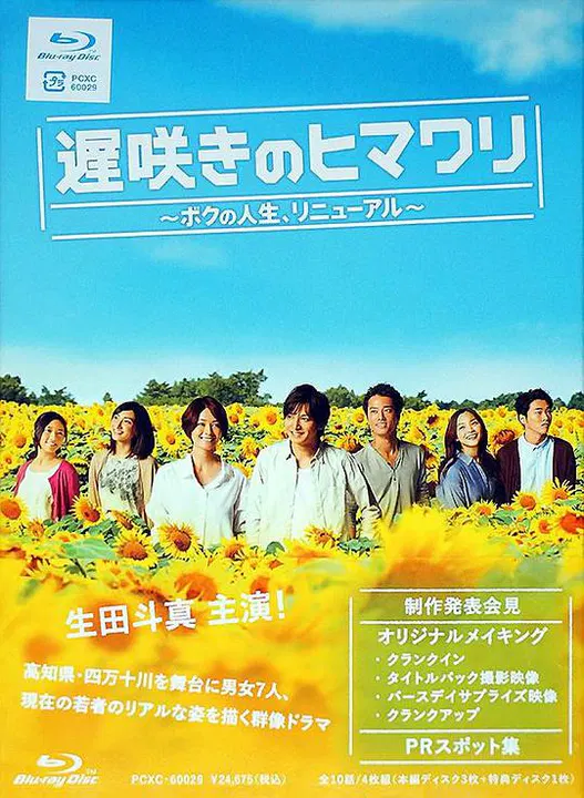 【日本剧】迟开的向日葵